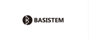 Basistem
